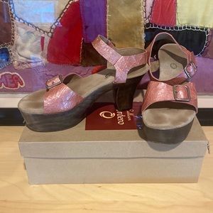 GU and loved Calleen Cordero Pink Wooden Platform Sandals size 8